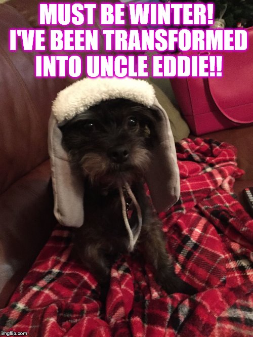 Uncle Eddie! | MUST BE WINTER! I'VE BEEN TRANSFORMED INTO UNCLE EDDIE!! | image tagged in dog,christmas,vacation,winter,sad dog | made w/ Imgflip meme maker