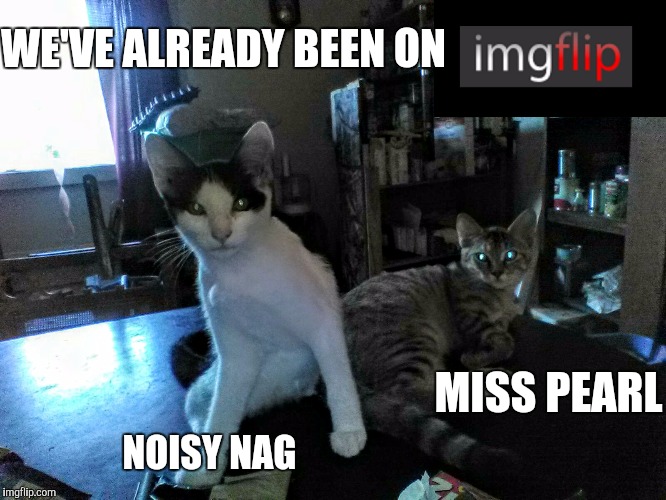 WE'VE ALREADY BEEN ON NOISY NAG MISS PEARL | made w/ Imgflip meme maker
