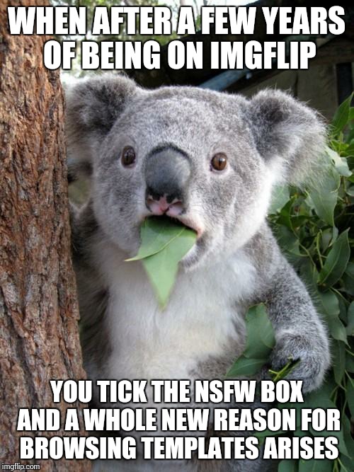 Surprised Koala |  WHEN AFTER A FEW YEARS OF BEING ON IMGFLIP; YOU TICK THE NSFW BOX AND A WHOLE NEW REASON FOR BROWSING TEMPLATES ARISES | image tagged in memes,surprised koala | made w/ Imgflip meme maker