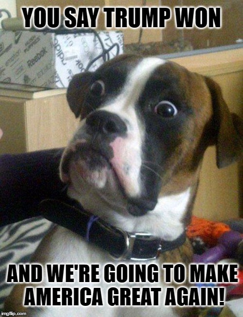Blankie the Shocked Dog | YOU SAY TRUMP WON; AND WE'RE GOING TO MAKE AMERICA GREAT AGAIN! | image tagged in blankie the shocked dog,funny dog memes,trump,make america great again,funny memes | made w/ Imgflip meme maker
