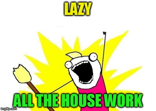 X All The Y Meme | LAZY ALL THE HOUSE WORK | image tagged in memes,x all the y | made w/ Imgflip meme maker