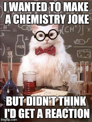 Hope I covered my bases. | I WANTED TO MAKE A CHEMISTRY JOKE; BUT DIDN'T THINK I'D GET A REACTION | image tagged in chemistry cat,memes | made w/ Imgflip meme maker