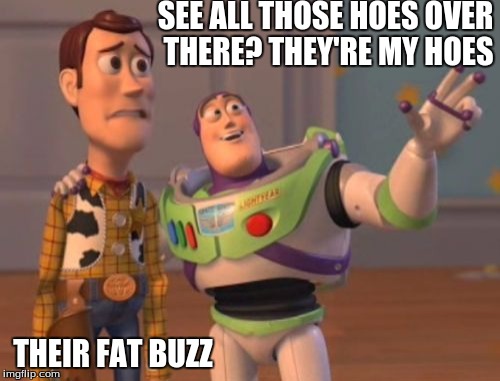 X, X Everywhere | SEE ALL THOSE HOES OVER THERE? THEY'RE MY HOES; THEIR FAT BUZZ | image tagged in memes,x x everywhere | made w/ Imgflip meme maker