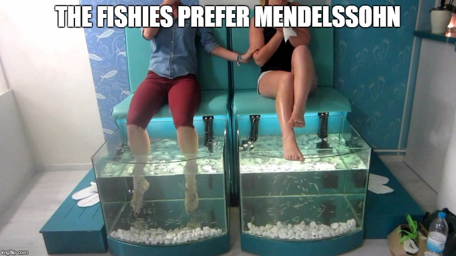 THE FISHIES PREFER MENDELSSOHN | made w/ Imgflip meme maker