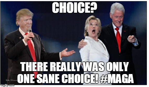 CHOICE? THERE REALLY WAS ONLY ONE SANE CHOICE! #MAGA | made w/ Imgflip meme maker