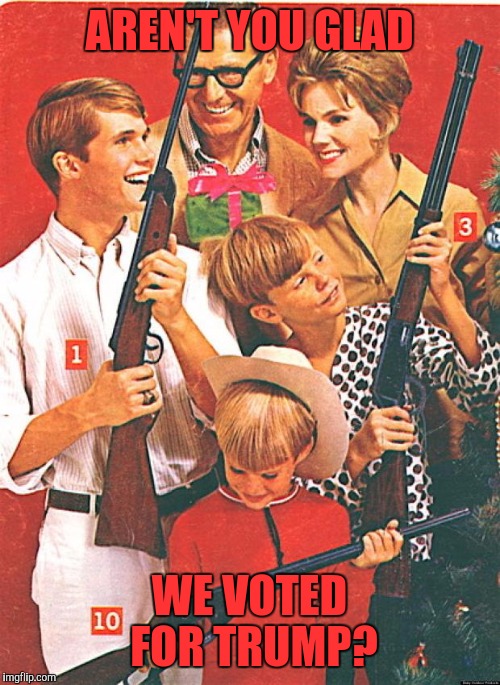 Christmas Guns | AREN'T YOU GLAD; WE VOTED FOR TRUMP? | image tagged in christmas guns | made w/ Imgflip meme maker