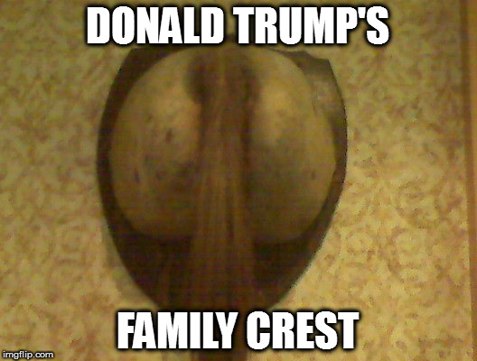 DONALD TRUMP'S; FAMILY CREST | image tagged in trump family crest | made w/ Imgflip meme maker