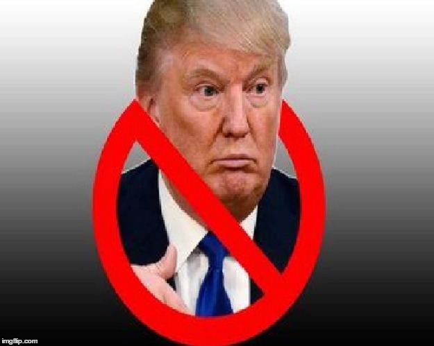 No Donald Trump!! | image tagged in no donald trump | made w/ Imgflip meme maker
