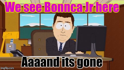 Aaaaand Its Gone | We see Bonnca Jr here; Aaaand its gone | image tagged in memes,aaaaand its gone | made w/ Imgflip meme maker