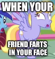 WHEN YOUR; FRIEND FARTS IN YOUR FACE | image tagged in ponay | made w/ Imgflip meme maker