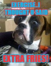 what did you sayyyy | EXERCISE..I THOUGHT U SAID; EXTRA FRIES! | image tagged in dogs | made w/ Imgflip meme maker