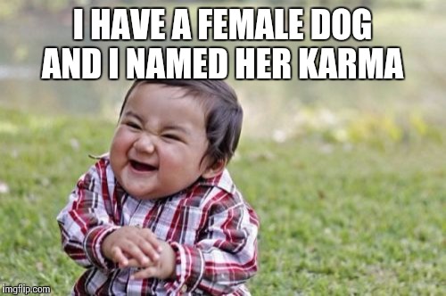 Well played Evil Toddler  | I HAVE A FEMALE DOG AND I NAMED HER KARMA | image tagged in memes,evil toddler | made w/ Imgflip meme maker