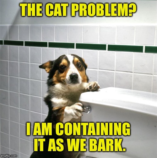 . | image tagged in memes,dog flushing toilet,cat problem | made w/ Imgflip meme maker