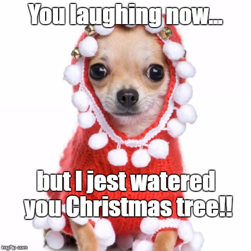 Christmas Thank You | You laughing now... but I jest watered you Christmas tree!! | image tagged in christmas thank you | made w/ Imgflip meme maker