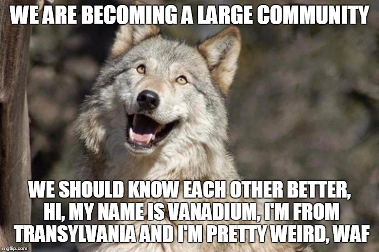 Optimistic Moon Moon Wolf Vanadium Wolf | WE ARE BECOMING A LARGE COMMUNITY; WE SHOULD KNOW EACH OTHER BETTER, HI, MY NAME IS VANADIUM, I'M FROM TRANSYLVANIA AND I'M PRETTY WEIRD, WAF | image tagged in optimistic moon moon wolf vanadium wolf | made w/ Imgflip meme maker