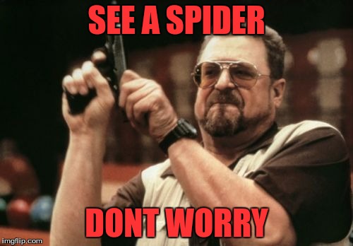 Am I The Only One Around Here | SEE A SPIDER; DONT WORRY | image tagged in memes,am i the only one around here | made w/ Imgflip meme maker