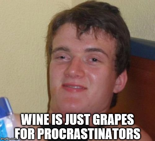10 Guy Meme | WINE IS JUST GRAPES FOR PROCRASTINATORS | image tagged in memes,10 guy | made w/ Imgflip meme maker