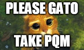 PLEASE GATO; TAKE PQM | image tagged in gators | made w/ Imgflip meme maker