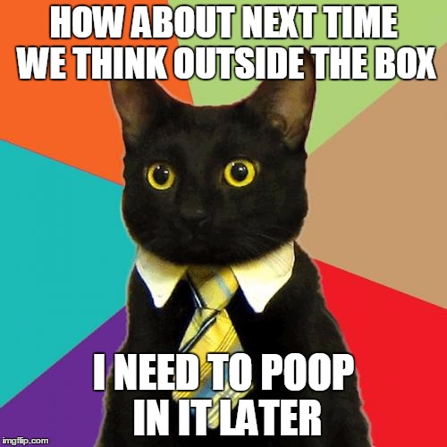 Business Cat Meme | HOW ABOUT NEXT TIME WE THINK OUTSIDE THE BOX; I NEED TO POOP IN IT LATER | image tagged in memes,business cat | made w/ Imgflip meme maker