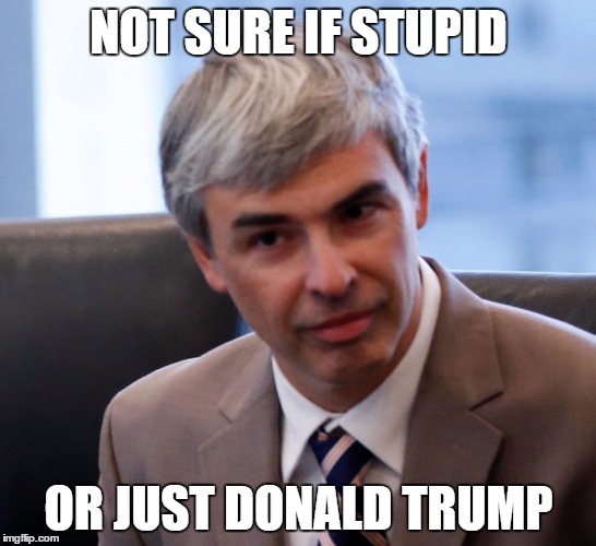 Larry Page: Trump Summit | NOT SURE IF STUPID; OR JUST DONALD TRUMP | image tagged in google,trump,larry page,trump summit | made w/ Imgflip meme maker