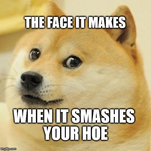 Dogs are the most loyal sugar daddies | THE FACE IT MAKES; WHEN IT SMASHES YOUR HOE | image tagged in memes,doge | made w/ Imgflip meme maker