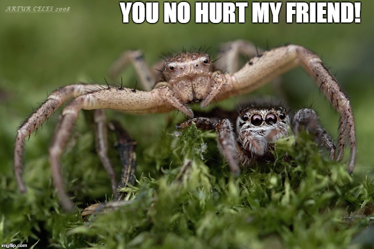 YOU NO HURT MY FRIEND! | made w/ Imgflip meme maker