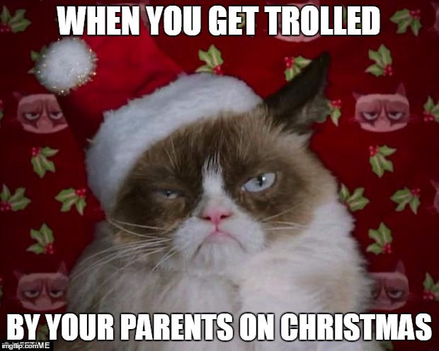 Grumpy Cat Christmas | WHEN YOU GET TROLLED; BY YOUR PARENTS ON CHRISTMAS | image tagged in grumpy cat christmas | made w/ Imgflip meme maker