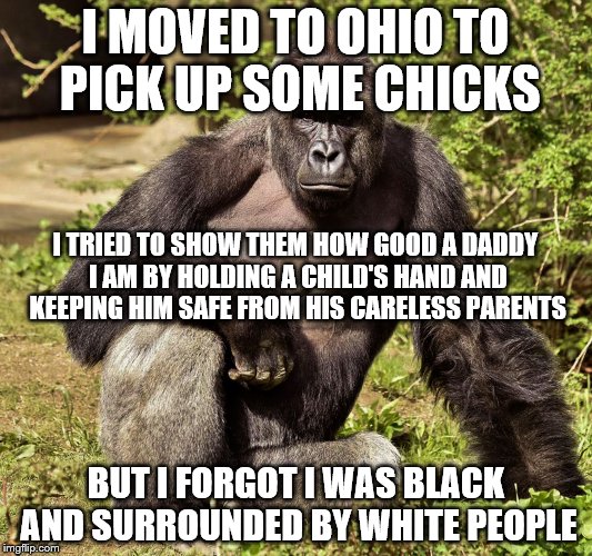 Harambe's life story | I MOVED TO OHIO TO PICK UP SOME CHICKS; I TRIED TO SHOW THEM HOW GOOD A DADDY I AM BY HOLDING A CHILD'S HAND AND KEEPING HIM SAFE FROM HIS CARELESS PARENTS; BUT I FORGOT I WAS BLACK AND SURROUNDED BY WHITE PEOPLE | image tagged in harambe | made w/ Imgflip meme maker