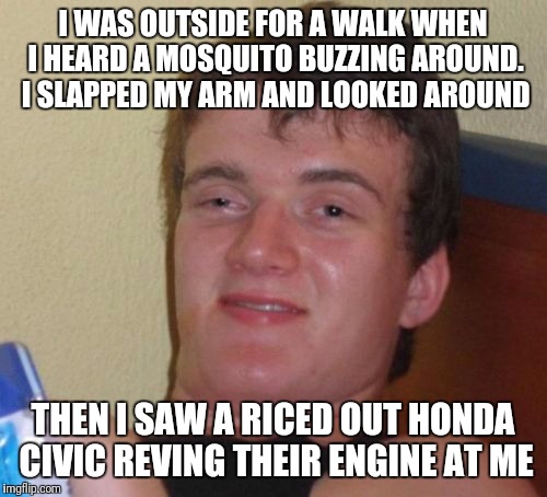 10 Guy Meme | I WAS OUTSIDE FOR A WALK WHEN I HEARD A MOSQUITO BUZZING AROUND. I SLAPPED MY ARM AND LOOKED AROUND; THEN I SAW A RICED OUT HONDA CIVIC REVING THEIR ENGINE AT ME | image tagged in memes,10 guy | made w/ Imgflip meme maker
