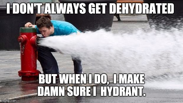 Drinking from Fire hose | I DON'T ALWAYS GET DEHYDRATED; BUT WHEN I DO,  I MAKE DAMN SURE I  HYDRANT. | image tagged in drinking from fire hose | made w/ Imgflip meme maker
