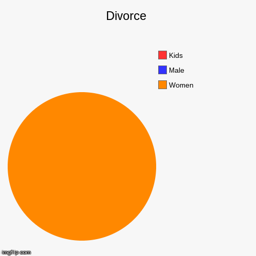 image tagged in funny,pie charts | made w/ Imgflip chart maker