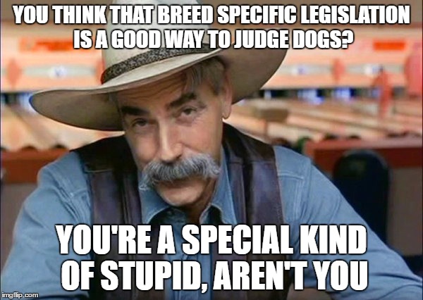Sam Elliott special kind of stupid | YOU THINK THAT BREED SPECIFIC LEGISLATION IS A GOOD WAY TO JUDGE DOGS? YOU'RE A SPECIAL KIND OF STUPID, AREN'T YOU | image tagged in sam elliott special kind of stupid | made w/ Imgflip meme maker