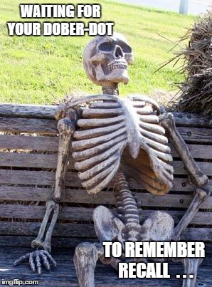 Waiting Skeleton Meme | WAITING FOR YOUR DOBER-DOT; TO REMEMBER RECALL  . . . | image tagged in memes,waiting skeleton | made w/ Imgflip meme maker