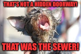 THAT'S NOT A HIDDEN DOORWAY! THAT WAS THE SEWER! | made w/ Imgflip meme maker