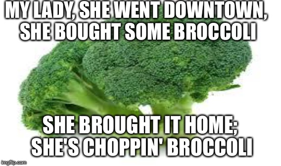 MY LADY, SHE WENT DOWNTOWN, SHE BOUGHT SOME BROCCOLI SHE BROUGHT IT HOME; SHE'S CHOPPIN' BROCCOLI | made w/ Imgflip meme maker