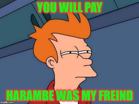 Futurama Fry Meme | YOU WILL PAY; HARAMBE WAS MY FREIND | image tagged in memes,futurama fry | made w/ Imgflip meme maker