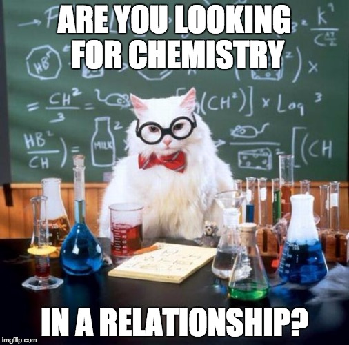 chemistry in relationship | ARE YOU LOOKING FOR CHEMISTRY; IN A RELATIONSHIP? | image tagged in memes,chemistry cat,chemistry,relationship,dating,love | made w/ Imgflip meme maker
