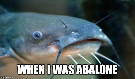 WHEN I WAS ABALONE | made w/ Imgflip meme maker