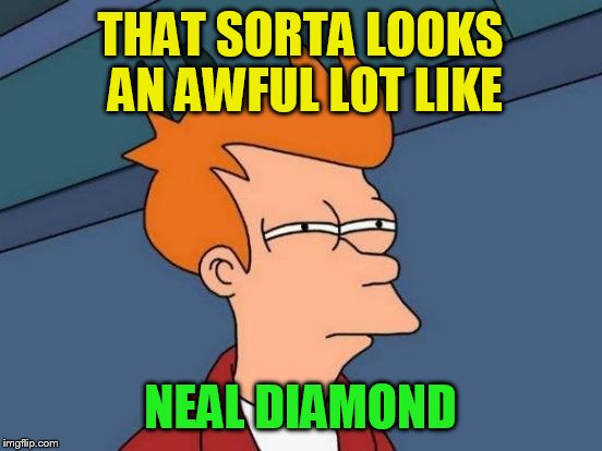 Futurama Fry Meme | THAT SORTA LOOKS AN AWFUL LOT LIKE NEAL DIAMOND | image tagged in memes,futurama fry | made w/ Imgflip meme maker
