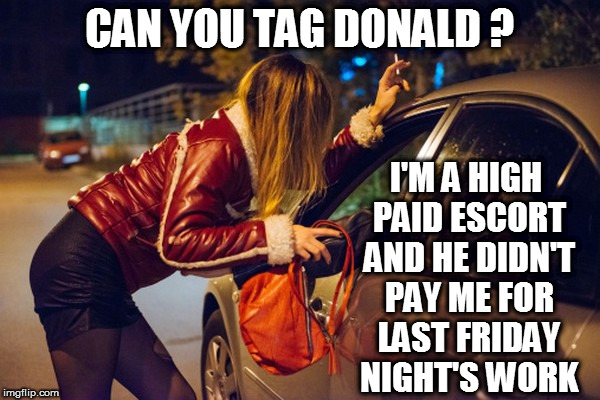 CAN YOU TAG DONALD ? I'M A HIGH PAID ESCORT AND HE DIDN'T PAY ME FOR LAST FRIDAY NIGHT'S WORK | image tagged in fucktrump,nevertrump,dumptrump,prostitute,escort,donald trump the clown | made w/ Imgflip meme maker