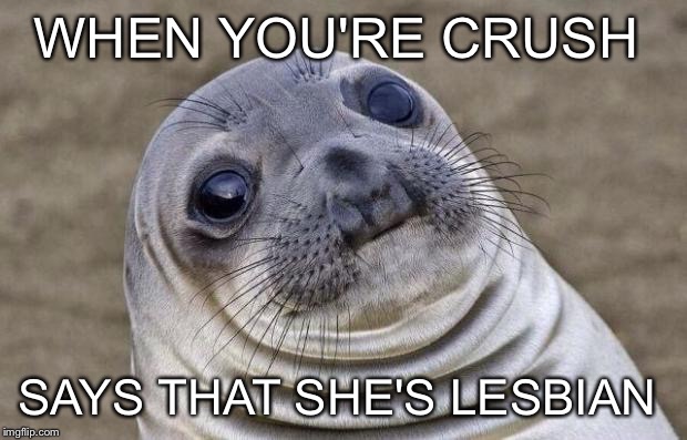 Awkward Moment Sealion | WHEN YOU'RE CRUSH; SAYS THAT SHE'S LESBIAN | image tagged in memes,awkward moment sealion | made w/ Imgflip meme maker