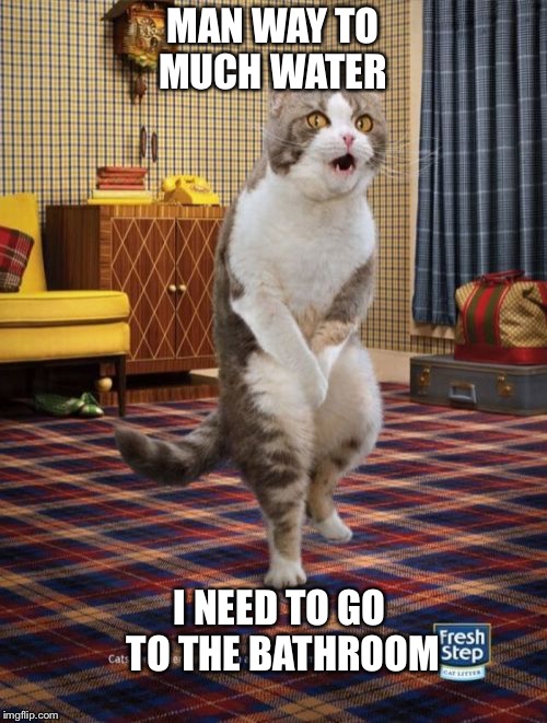 Gotta Go Cat | MAN WAY TO MUCH WATER; I NEED TO GO TO THE BATHROOM | image tagged in memes,gotta go cat | made w/ Imgflip meme maker
