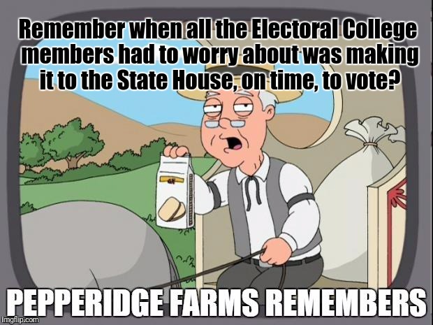 PEPPERIDGE FARMS REMEMBERS | Remember when all the Electoral College members had to worry about was making it to the State House, on time, to vote? | image tagged in pepperidge farms remembers | made w/ Imgflip meme maker