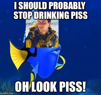 Bear dory | I SHOULD PROBABLY STOP DRINKING PISS; OH LOOK PISS! | image tagged in doris | made w/ Imgflip meme maker