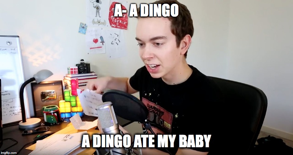 A- A DINGO; A DINGO ATE MY BABY | image tagged in parkergames a dingo ate my baby | made w/ Imgflip meme maker