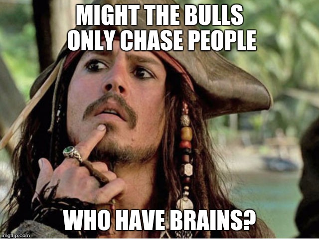 MIGHT THE BULLS ONLY CHASE PEOPLE WHO HAVE BRAINS? | image tagged in jack sparrow | made w/ Imgflip meme maker