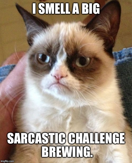 Grumpy Cat Meme | I SMELL A BIG SARCASTIC CHALLENGE BREWING. | image tagged in memes,grumpy cat | made w/ Imgflip meme maker