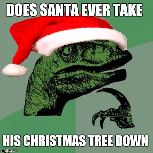 Philosoraptor | DOES SANTA EVER TAKE; HIS CHRISTMAS TREE DOWN | image tagged in memes,philosoraptor,christmas,christmas tree | made w/ Imgflip meme maker