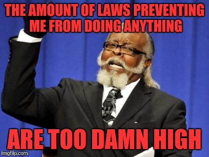 Too Damn High Meme | THE AMOUNT OF LAWS PREVENTING ME FROM DOING ANYTHING; ARE TOO DAMN HIGH | image tagged in memes,too damn high | made w/ Imgflip meme maker