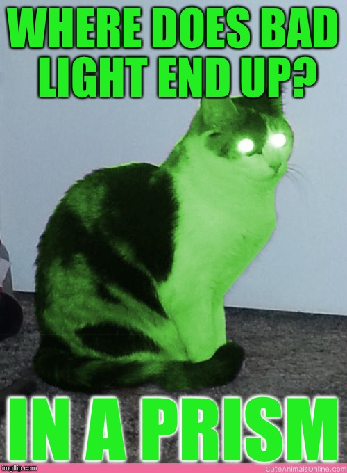 Hypno Raycat | WHERE DOES BAD LIGHT END UP? IN A PRISM | image tagged in hypno raycat,memes | made w/ Imgflip meme maker